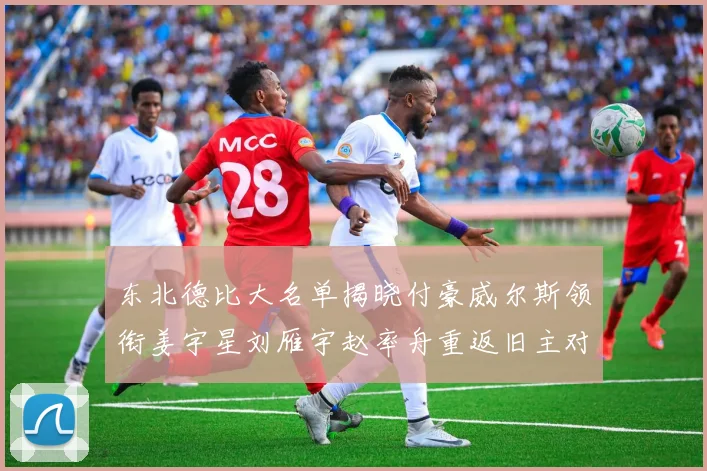 东北德比大名单揭晓付豪威尔斯领衔姜宇星刘雁宇赵率舟重返旧主对决