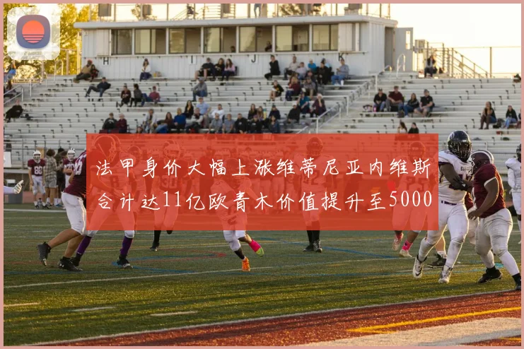 法甲身价大幅上涨维蒂尼亚内维斯合计达11亿欧青木价值提升至5000万